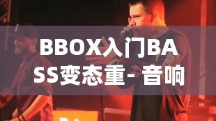 BBOX入門BASS變態(tài)重- 音響系統(tǒng)體驗分享！