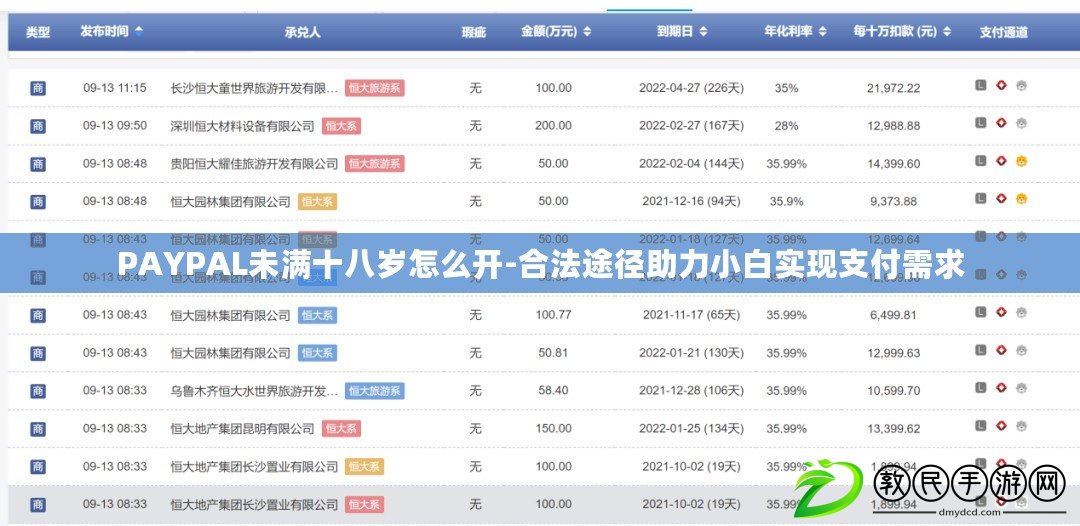 PAYPAL未滿(mǎn)十八歲怎么開(kāi)-合法途徑助力小白實(shí)現(xiàn)支付需求