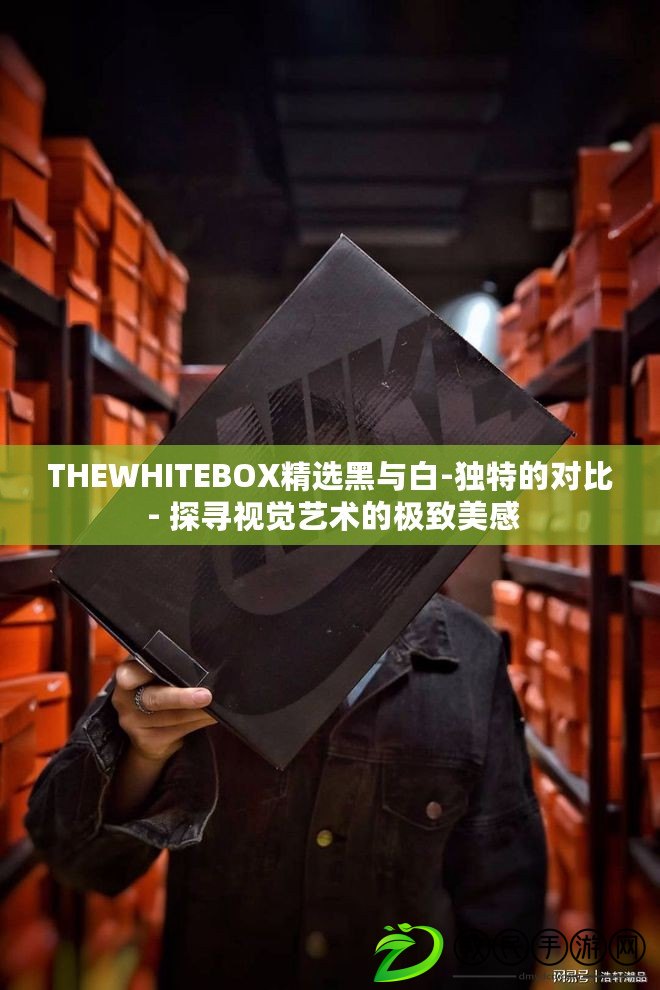 THEWHITEBOX精選黑與白-獨(dú)特的對(duì)比 - 探尋視覺藝術(shù)的極致美感