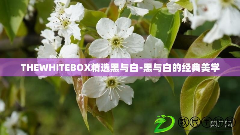 THEWHITEBOX精選黑與白-黑與白的經(jīng)典美學(xué)