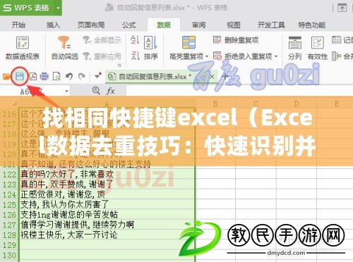 找相同快捷鍵excel（Excel數(shù)據(jù)去重技巧：快速識(shí)別并刪除重復(fù)數(shù)據(jù)）