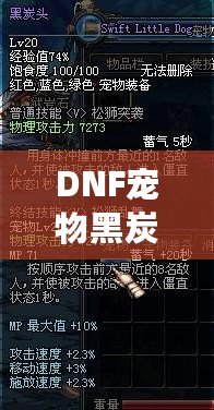 DNF寵物黑炭頭屬性詳解：探秘潛力與技能