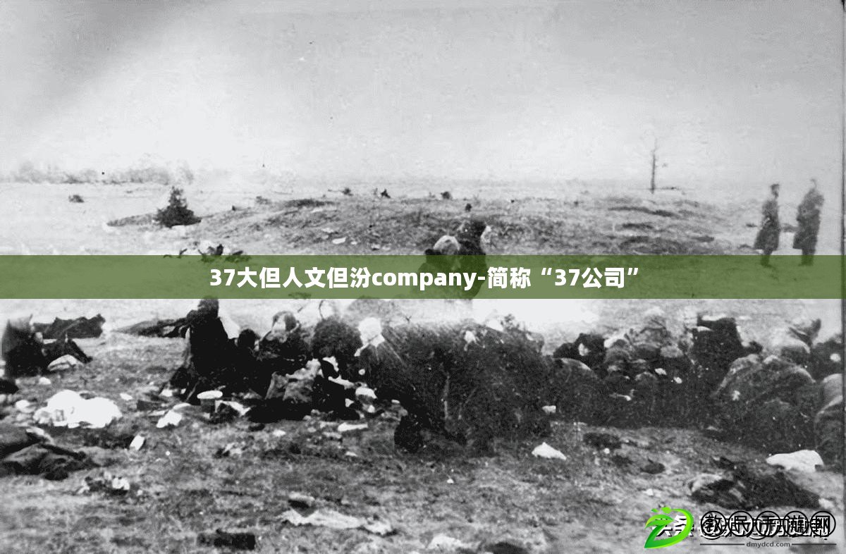 37大但人文但汾company-簡稱“37公司”