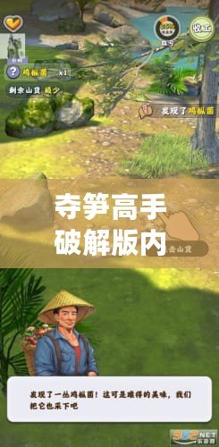 奪筍高手破解版內(nèi)置MOD菜單（奪筍高手破解版：內(nèi)置MOD菜單揭秘）