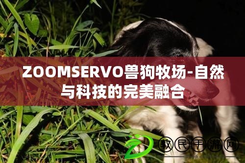 ZOOMSERVO獸狗牧場(chǎng)-自然與科技的完美融合