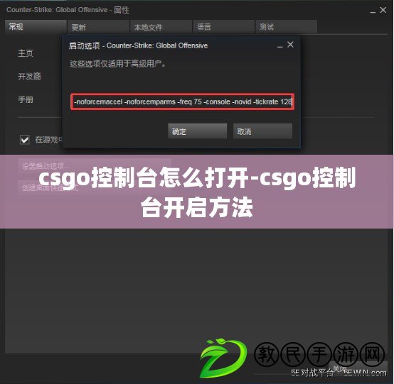 csgo控制臺(tái)怎么打開-csgo控制臺(tái)開啟方法