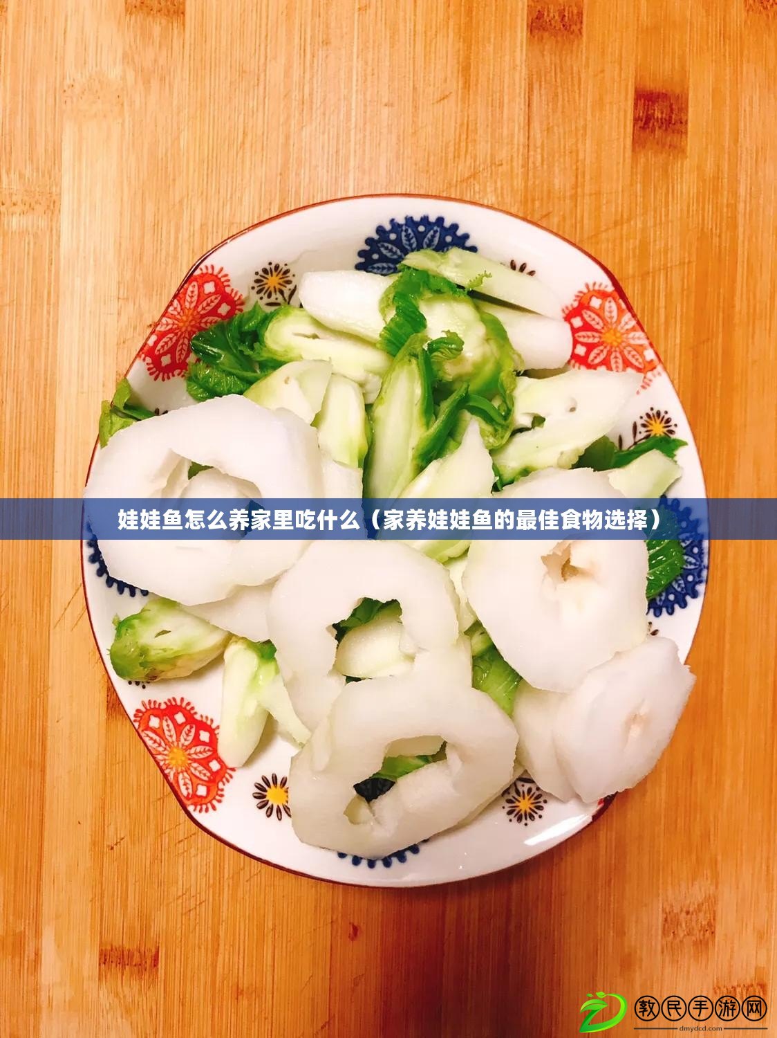 娃娃魚怎么養(yǎng)家里吃什么（家養(yǎng)娃娃魚的最佳食物選擇）