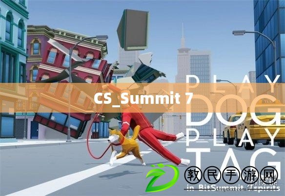 CS_Summit 7