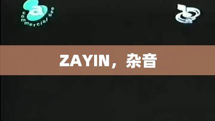 ZAYIN，雜音