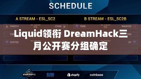 Liquid領(lǐng)銜 DreamHack三月公開賽分組確定