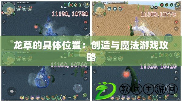 龍草的具體位置：創(chuàng)造與魔法游戲攻略