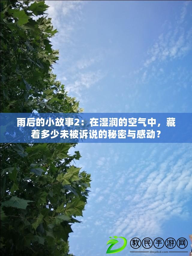 雨后的小故事2：在濕潤的空氣中，藏著多少未被訴說的秘密與感動？