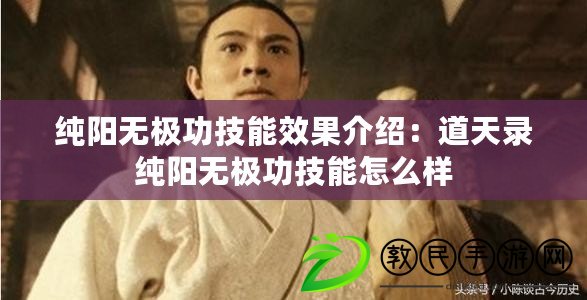 純陽無極功技能效果介紹：道天錄純陽無極功技能怎么樣