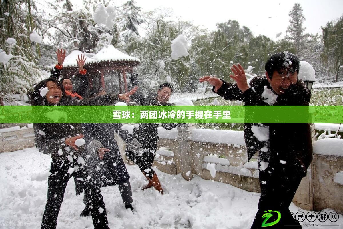 雪球：兩團冰冷的手握在手里