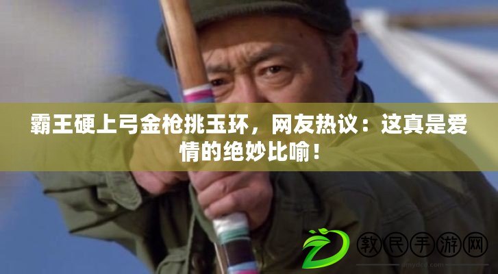 霸王硬上弓金槍挑玉環(huán)，網(wǎng)友熱議：這真是愛情的絕妙比喻！