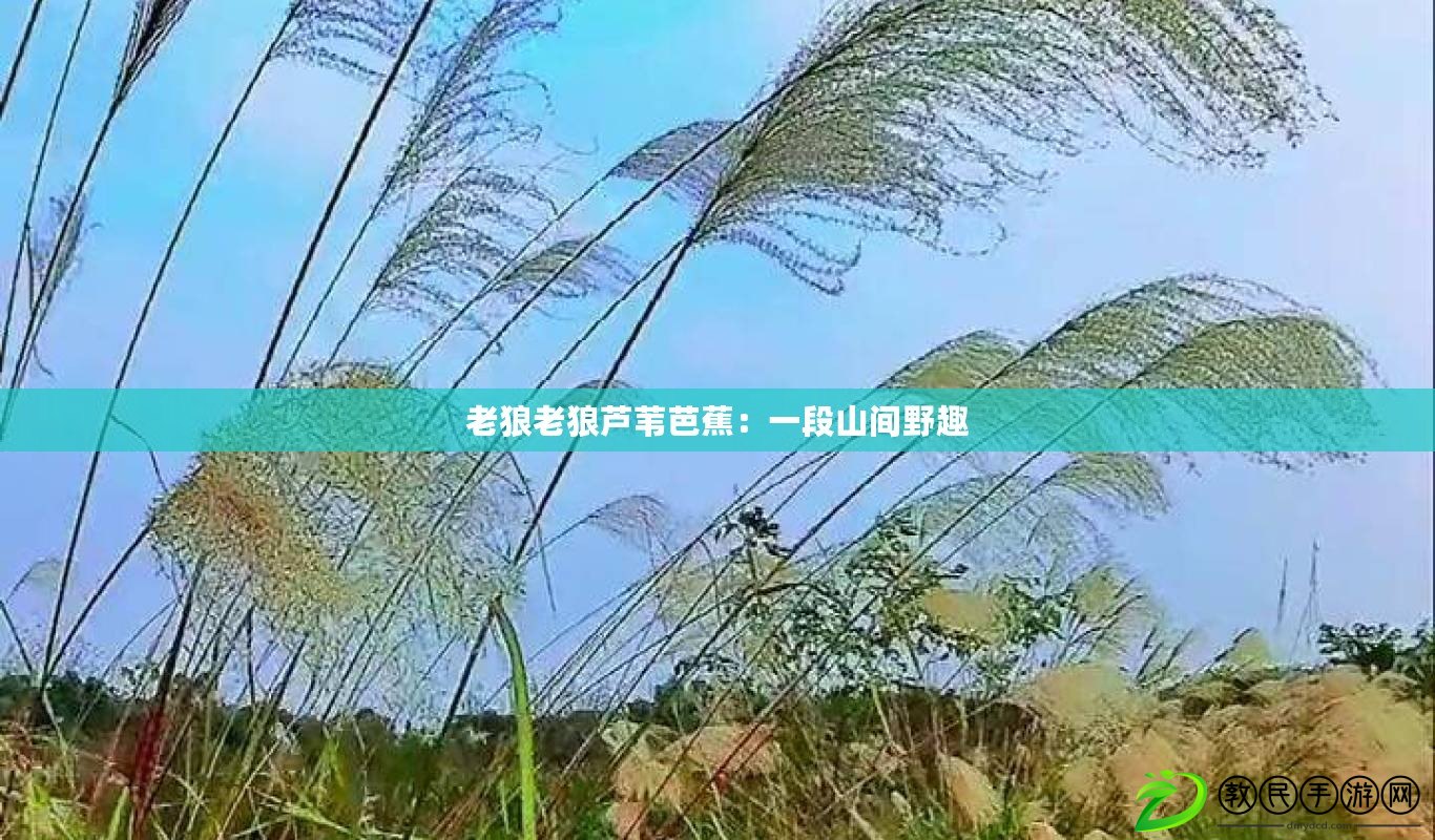 老狼老狼蘆葦芭蕉：一段山間野趣