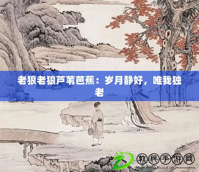 老狼老狼蘆葦芭蕉：歲月靜好，唯我獨(dú)老