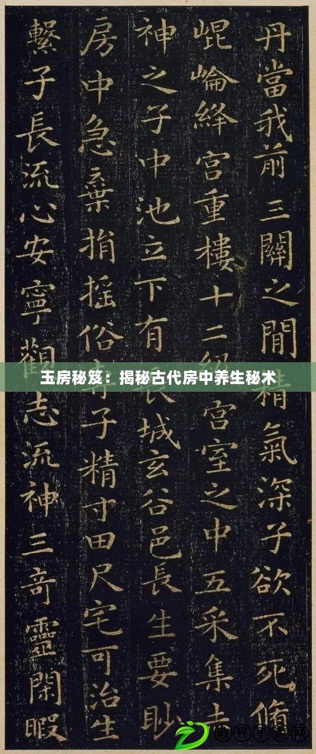 玉房秘笈：揭秘古代房中養(yǎng)生秘術(shù)