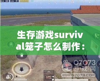 生存游戲survival籠子怎么制作：游戲BUG與故障排查