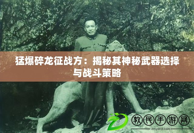 猛爆碎龍征戰(zhàn)方：揭秘其神秘武器選擇與戰(zhàn)斗策略