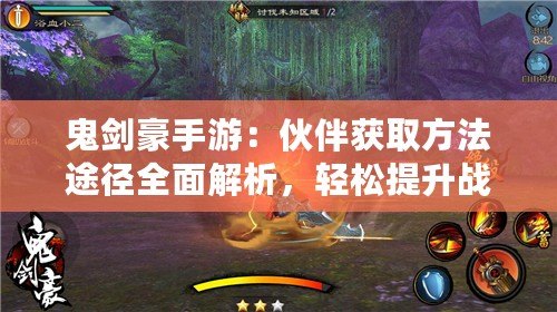 鬼劍豪手游：伙伴獲取方法途徑全面解析，輕松提升戰(zhàn)力