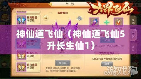 神仙道飛仙（神仙道飛仙5升長生仙1）