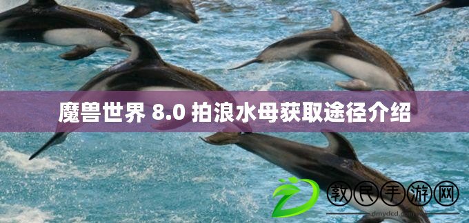 魔獸世界 8.0 拍浪水母獲取途徑介紹