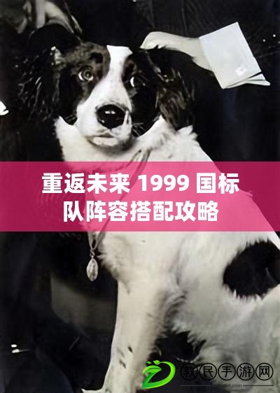 重返未來 1999 國標隊陣容搭配攻略