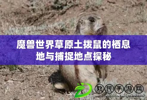 魔獸世界草原土撥鼠的棲息地與捕捉地點探秘