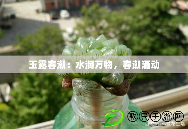 玉露春潮：水潤萬物，春潮涌動(dòng)