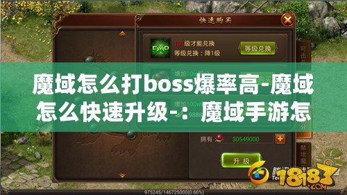 魔域怎么打boss爆率高-魔域怎么快速升級-：魔域手游怎么打boss爆的多