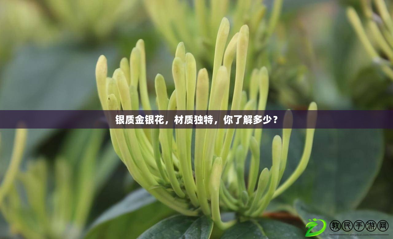 銀質(zhì)金銀花，材質(zhì)獨(dú)特，你了解多少？