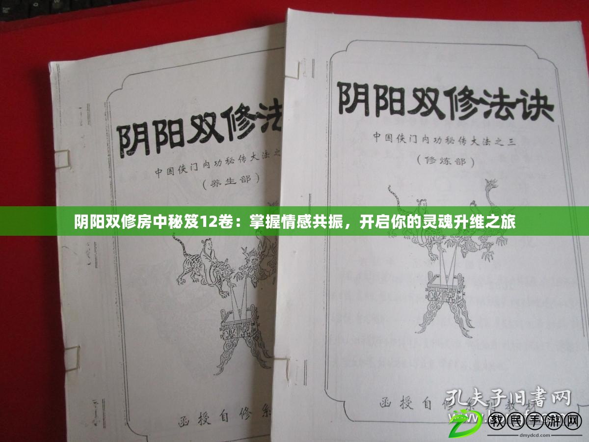 陰陽(yáng)雙修房中秘笈12卷：掌握情感共振，開(kāi)啟你的靈魂升維之旅