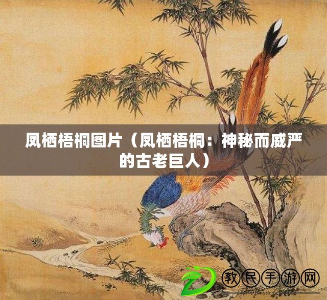 鳳棲梧桐圖片（鳳棲梧桐：神秘而威嚴(yán)的古老巨人）