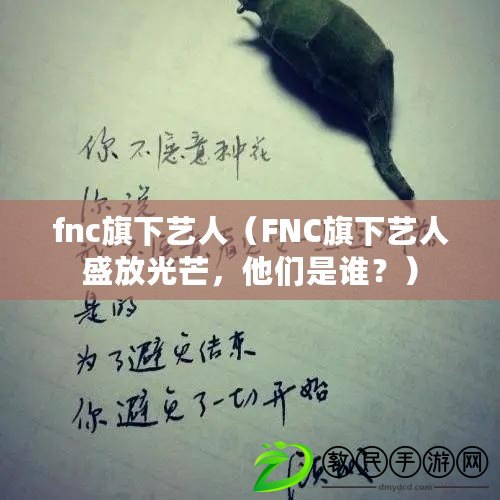 fnc旗下藝人（FNC旗下藝人盛放光芒，他們是誰？）