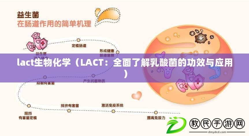 lact生物化學(xué)（LACT：全面了解乳酸菌的功效與應(yīng)用）