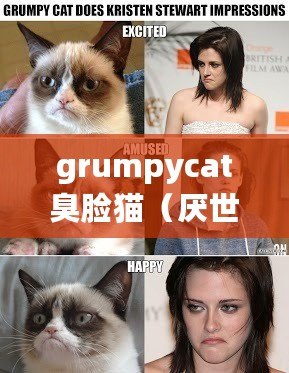 grumpycat臭臉貓（厭世臉貓：探尋內(nèi)心深處的孤獨與無奈）