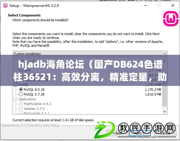 hjadb海角論壇（國產(chǎn)DB624色譜柱36521：高效分離，精準定量，助力科研創(chuàng)新）