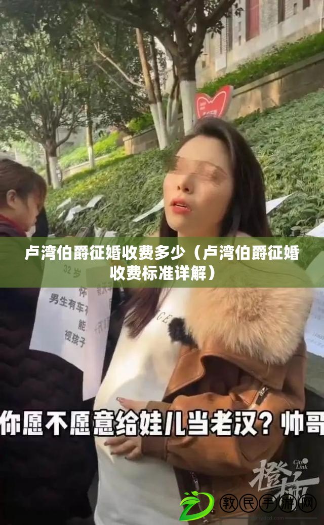 盧灣伯爵征婚收費多少（盧灣伯爵征婚收費標準詳解）