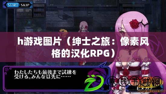 h游戲圖片（紳士之旅：像素風(fēng)格的漢化RPG）