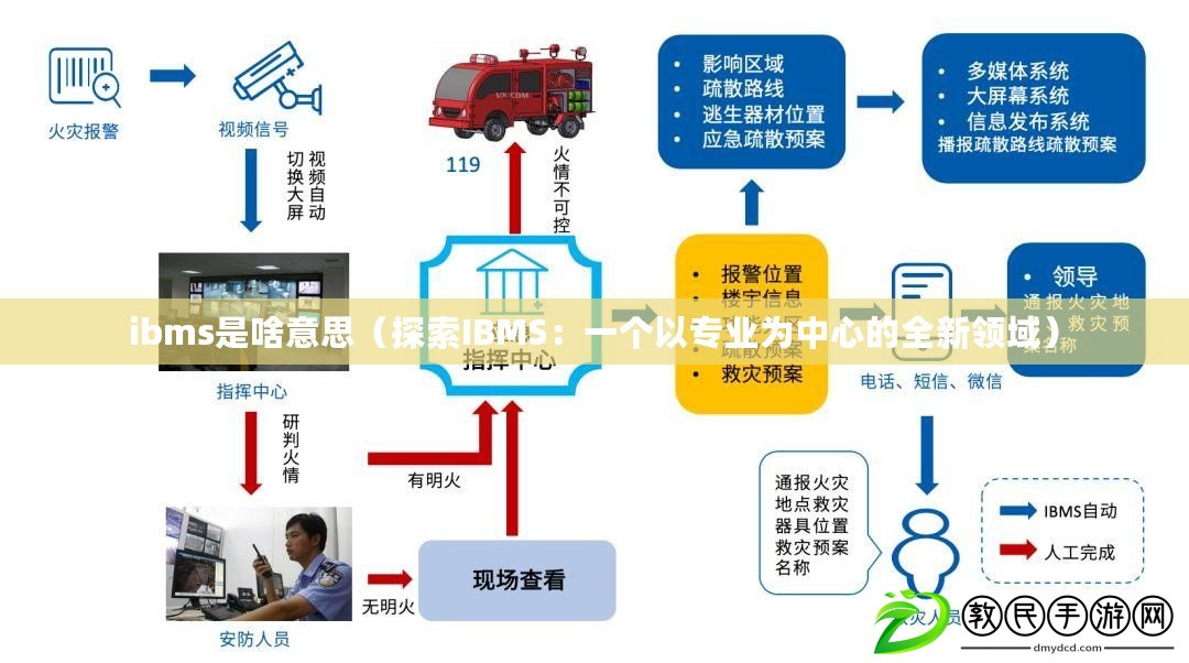 ibms是啥意思（探索IBMS：一個以專業(yè)為中心的全新領域）