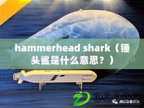 hammerhead shark（錘頭鯊是什么意思？）