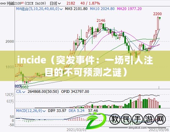 incide（突發(fā)事件：一場引人注目的不可預(yù)測之謎）