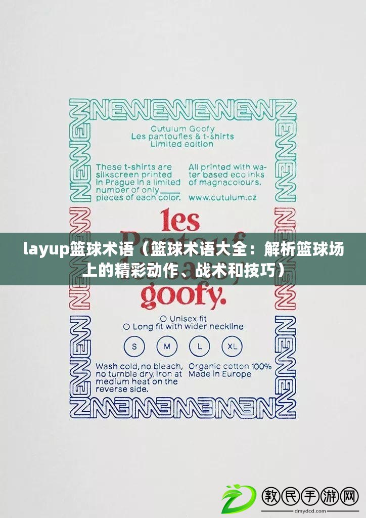 layup籃球術(shù)語（籃球術(shù)語大全：解析籃球場上的精彩動作、戰(zhàn)術(shù)和技巧）