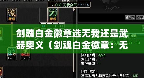 劍魂白金徽章選無我還是武器奧義（劍魂白金徽章：無我與武器奧義，抉擇之道）