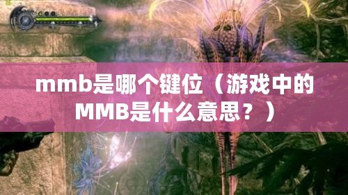 mmb是哪個(gè)鍵位（游戲中的MMB是什么意思？）