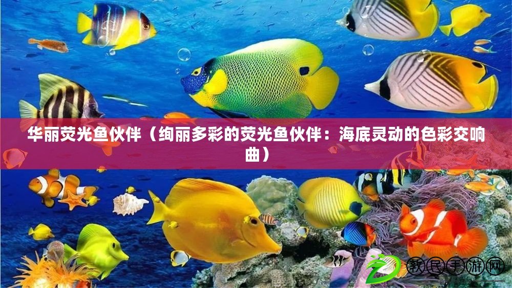 華麗熒光魚伙伴（絢麗多彩的熒光魚伙伴：海底靈動(dòng)的色彩交響曲）