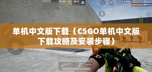 單機(jī)中文版下載（CSGO單機(jī)中文版下載攻略及安裝步驟）