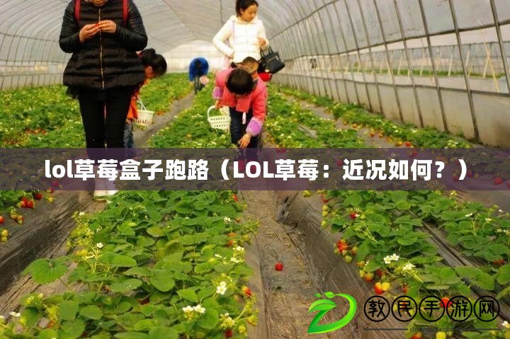 lol草莓盒子跑路（LOL草莓：近況如何？）