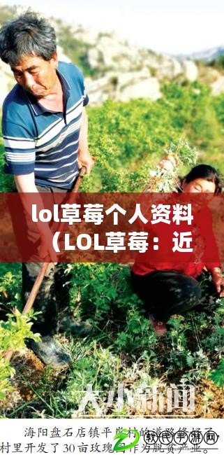 lol草莓個(gè)人資料（LOL草莓：近況如何，職業(yè)生涯現(xiàn)狀一覽）